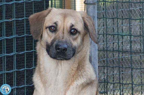 Pam, cerca chi sappia vederla davvero Foto 2